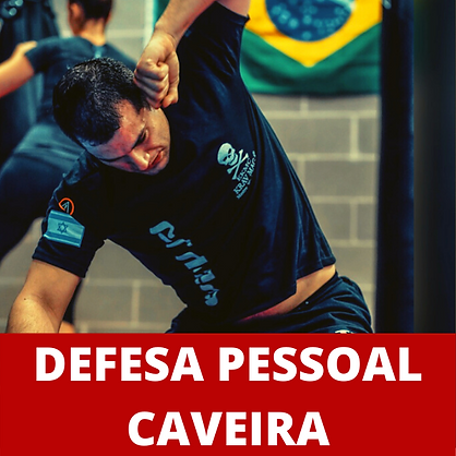 curso de defesa pessoal krav maga caveira