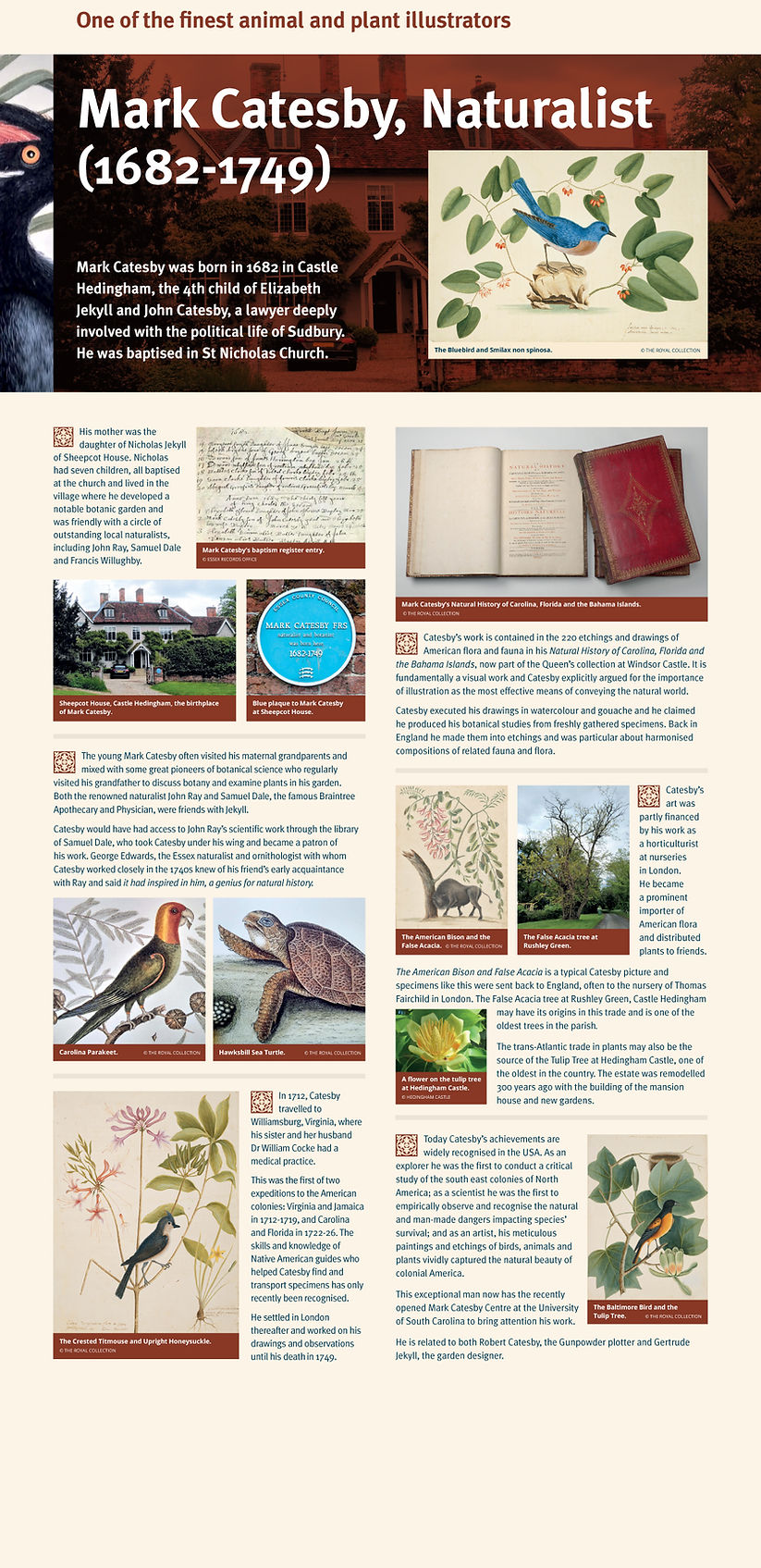 mark-catesby.jpg