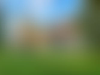 Flower festival fêtes, fancy bazaars and bowling for a pig!