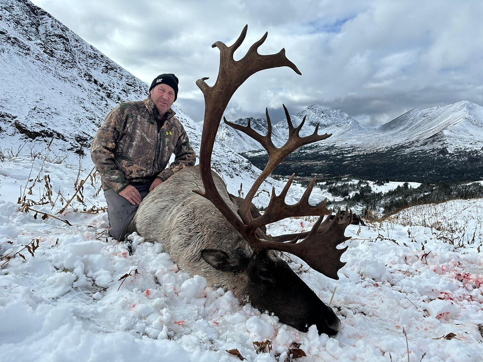 Man on top of mountain with large bull mountain caribou harvest in Jennings River concession in northern BC.