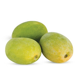 products_sdflo1.jpg