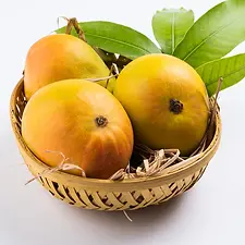 OUTER-PREMIUM-ALPHONSO-SIZE-LE.webp
