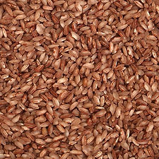 raw-brown-rice-1550060787-4717541.jpeg