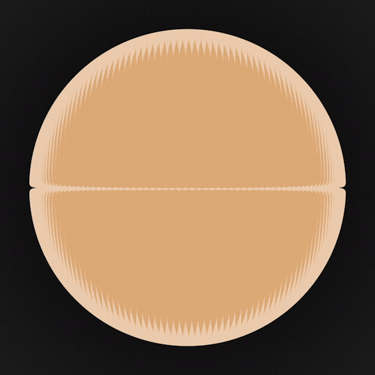 Dailies_20190607_003