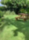 IPH_Green4.JPG