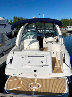 Sea Ray 315