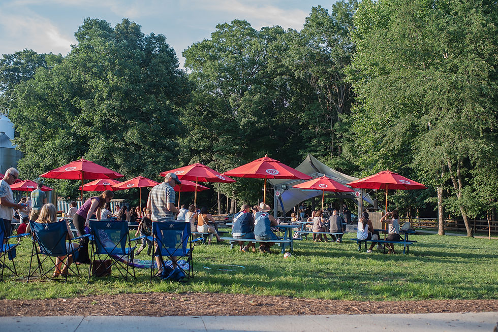 Asheville Kid-Friendly Breweries - Part 1