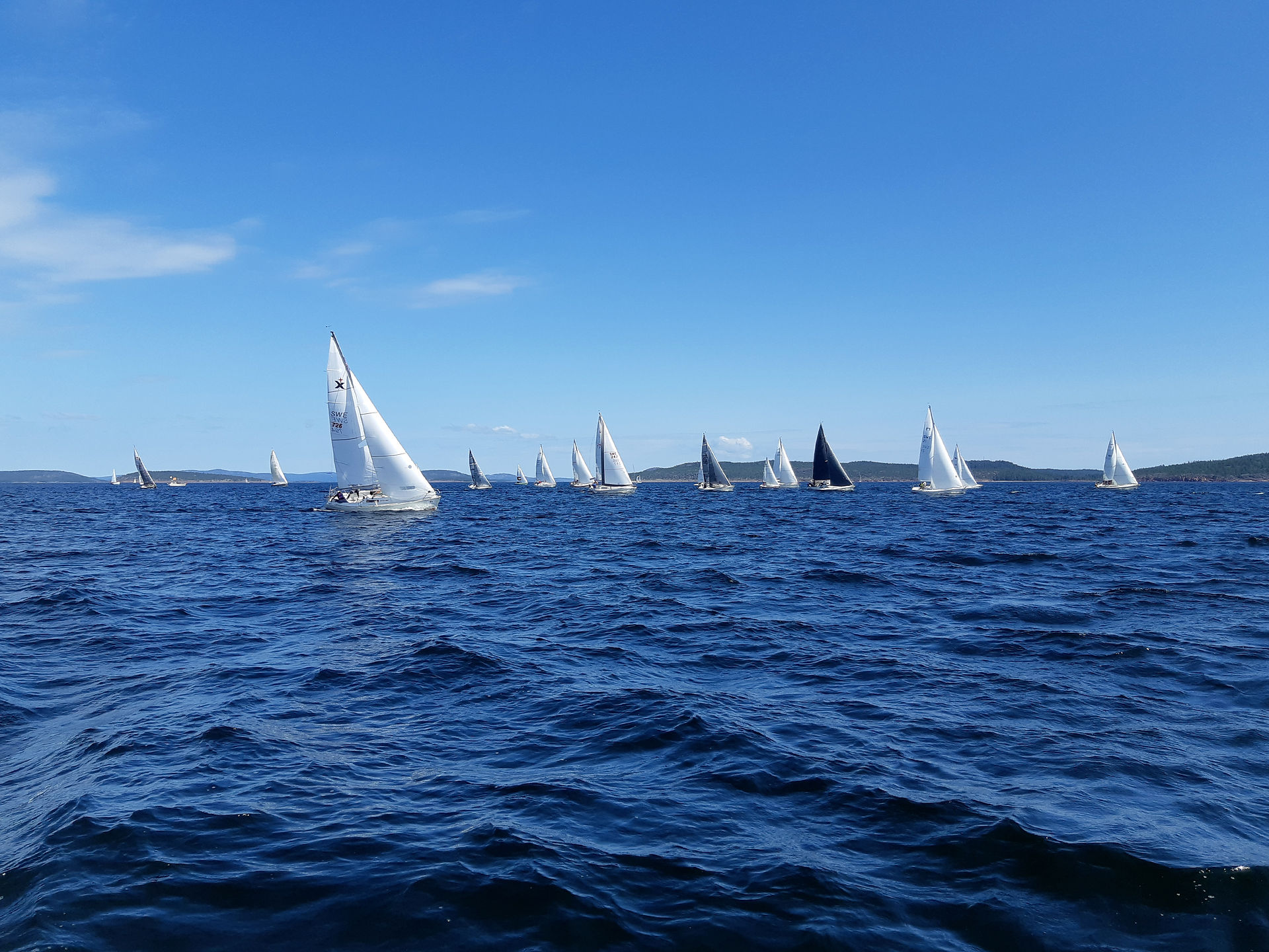 Ulvoregattan 2019 start