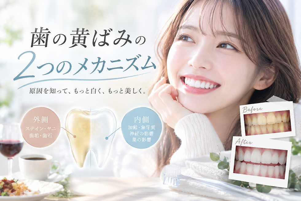 笑顔の女性と歯の黄ばみ解説図。歯の黄ばみの2つのメカニズム、Before/After写真、食卓の背景で清潔感ある宣伝画像