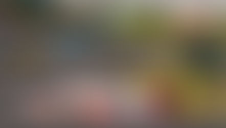 Supercars Championship: 2026 Taupō Super 440 Race 8 Recap 