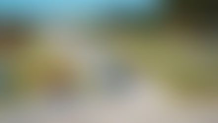 Cadillac win Petit Le Mans as Porsche secure the IMSA title, with the Aston Martin Valkyrie securing its first podium