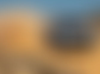 Sébastien Ogier steals brilliant ninth WRC Championship