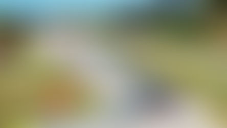 LIVE: 2025 Petit Le Mans Updates