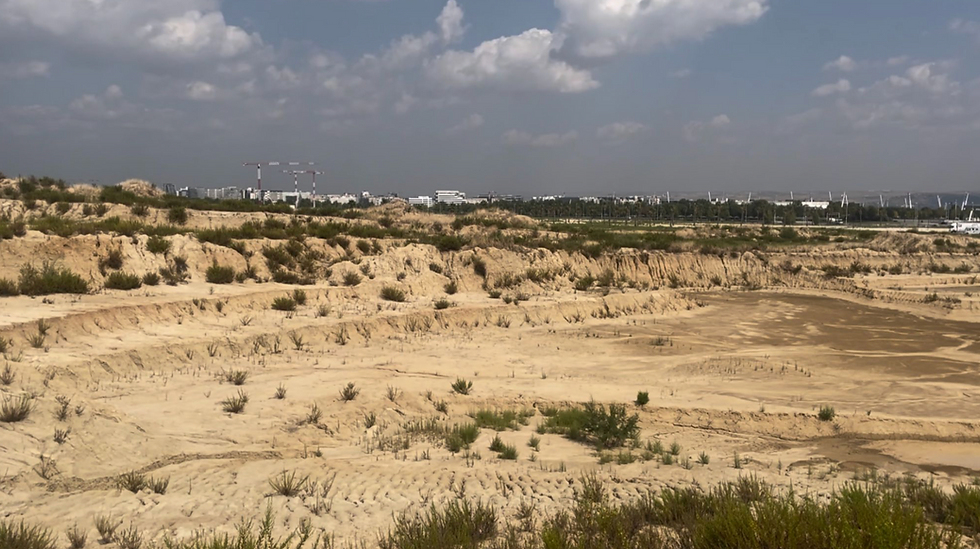 Sector 2 takes into account the area’s natural elevation | Credit: Peter Johnson (September 2024)