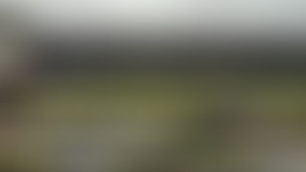 Supercars Adelaide Grand Final: Kostecki nabs the lead from Mostert before race ends to red flag