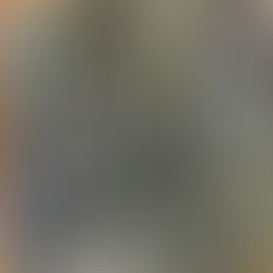 Archive Transmission // Subsurface Layer Detected