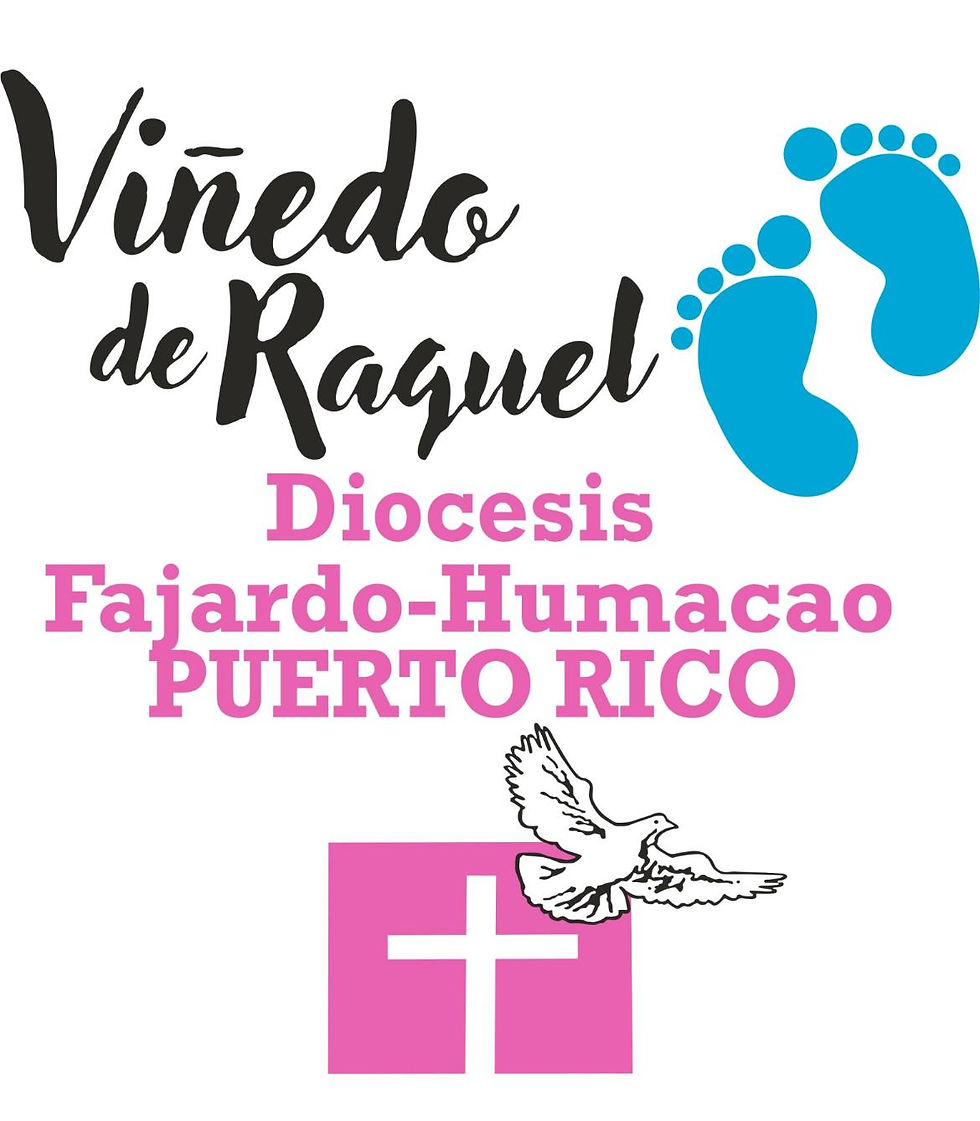 Bienvenidos al Viñedo de Raquel