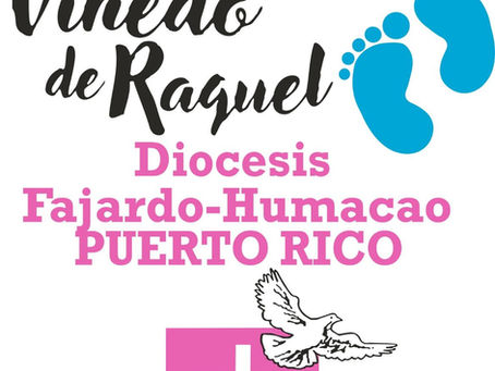 Entre música y solidaridad, el Viñedo de Raquel sana corazones en su actividad anual