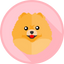 Autorenbild: Pomspitz