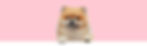 pomspitz-wixx-titel.jpg