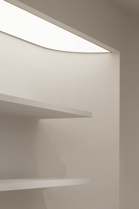 monodot_079