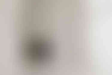 스튜디오 언제나, 봄