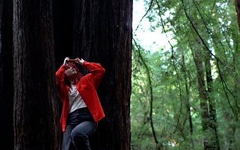 Avalon for Donations page.png