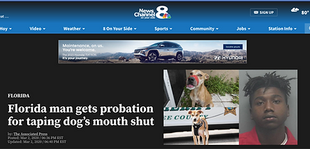 Florida man actual article.png