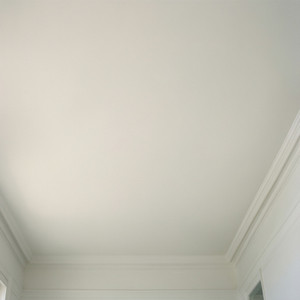 Seamless Ceiling Installation