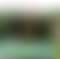 What to Expect When You Book Through Yard Sparkle