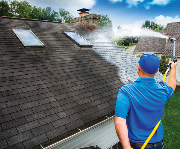 Gloeocapsa Magma: Explaining Roof Streaks