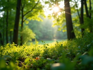 The Importance of Sustainable Living in Today's World