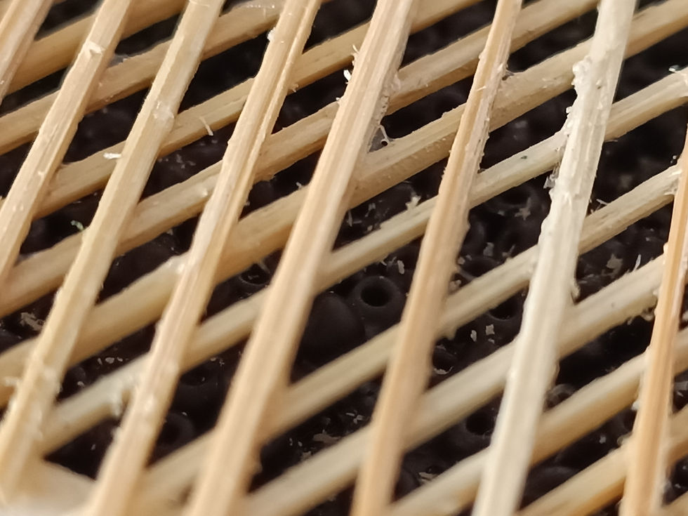 AUTOMATA 'VLAAIENBAKKERIJ' | Kersenvlaai