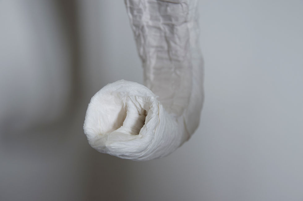 PAPER ELEPHANT | Close Up