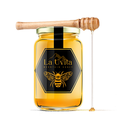 La uvita2 mockup.png