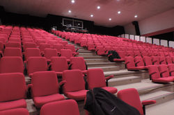 Festicoeur 04-02-2017 (1)