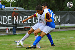 Imago-307561.jpg