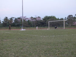 FINAL JAGUARES VS CHIVAS