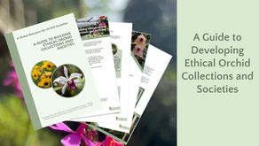 A Guide to Developing Ethical Orchid Collections and Societies - Powerpoint slides published