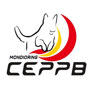 LOGO MONDIO.jpeg