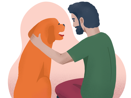 O que é a terapia assistida por animais e como ela pode ajudar