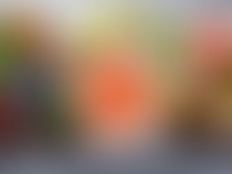 Alimentos Anti-Inflamatórios