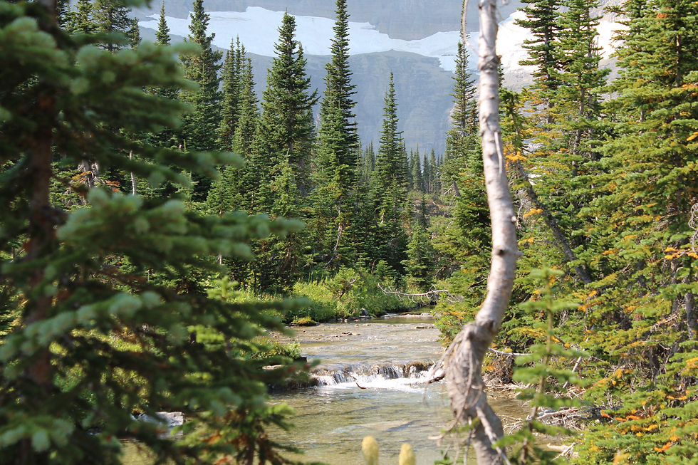 Glacier National Park