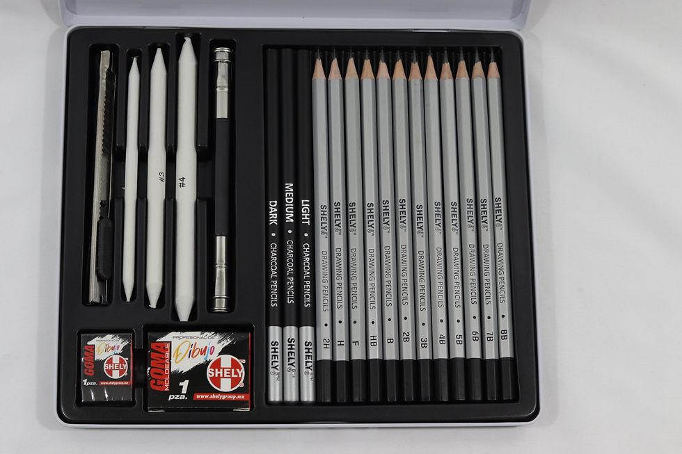 Miniatura: KIT PROFESIONAL DE DIBUJO MOD.:44054 22 PZS