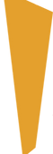 BRAVE%2520LOGO_edited_edited.png