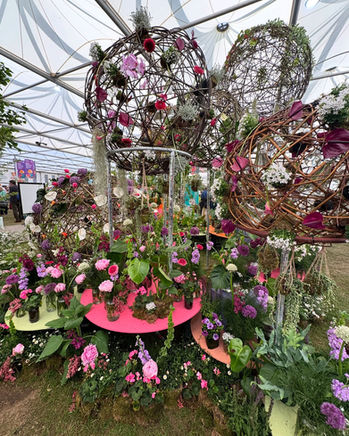 RHS Chelsea Flower Show 2026