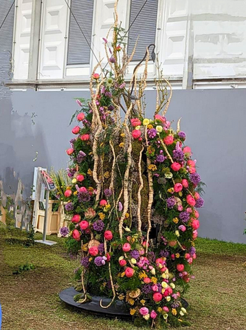 RHS Chelsea Silver Medal
