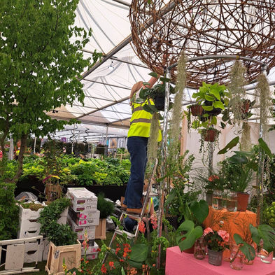 RHS Chelsea Flower Show 2026