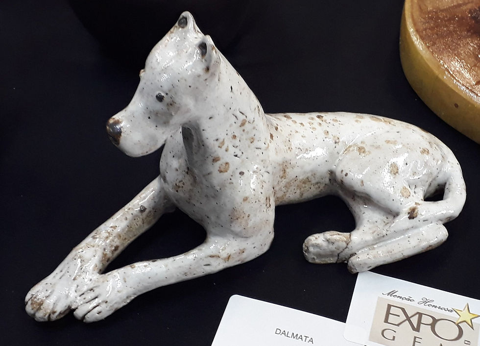 72766846_10213131127507602_5954459521492451328_n