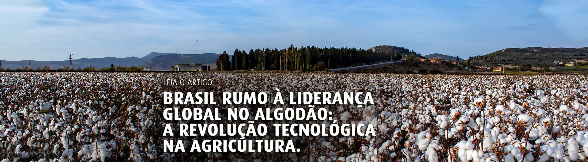 Leia o artigo - Brasil Rumo à Liderança Global no Algodão